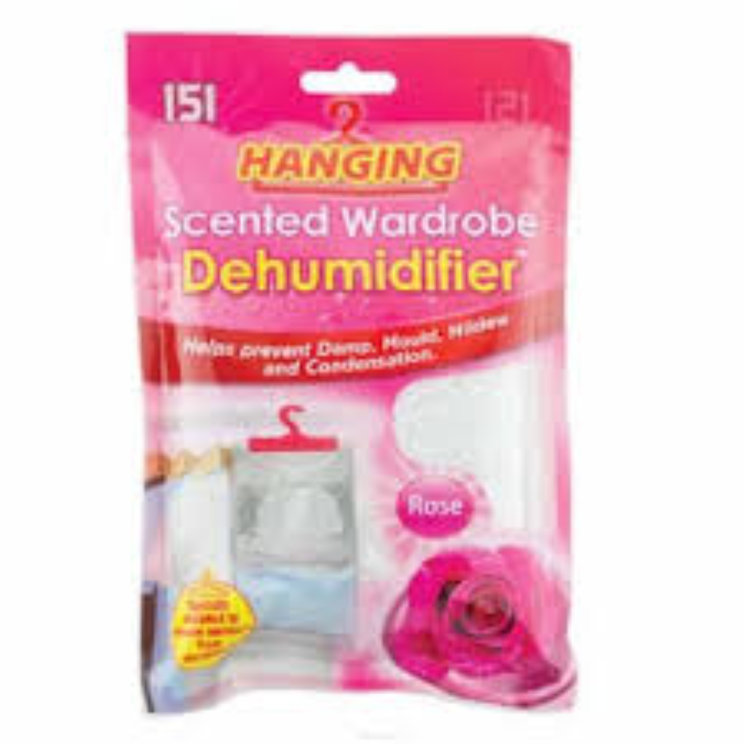 151 DUZZIT W/ROBE DEHUMIDIFIER